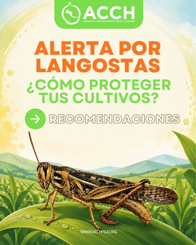 COMUNICADO IMPORTANTE